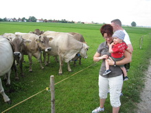 Nik hat die Kühe besucht. Juli 2008