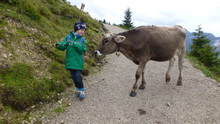 Krinnenalpe (02.09.2014)