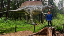 Dino Museum Altmhltal (10.07.2020)